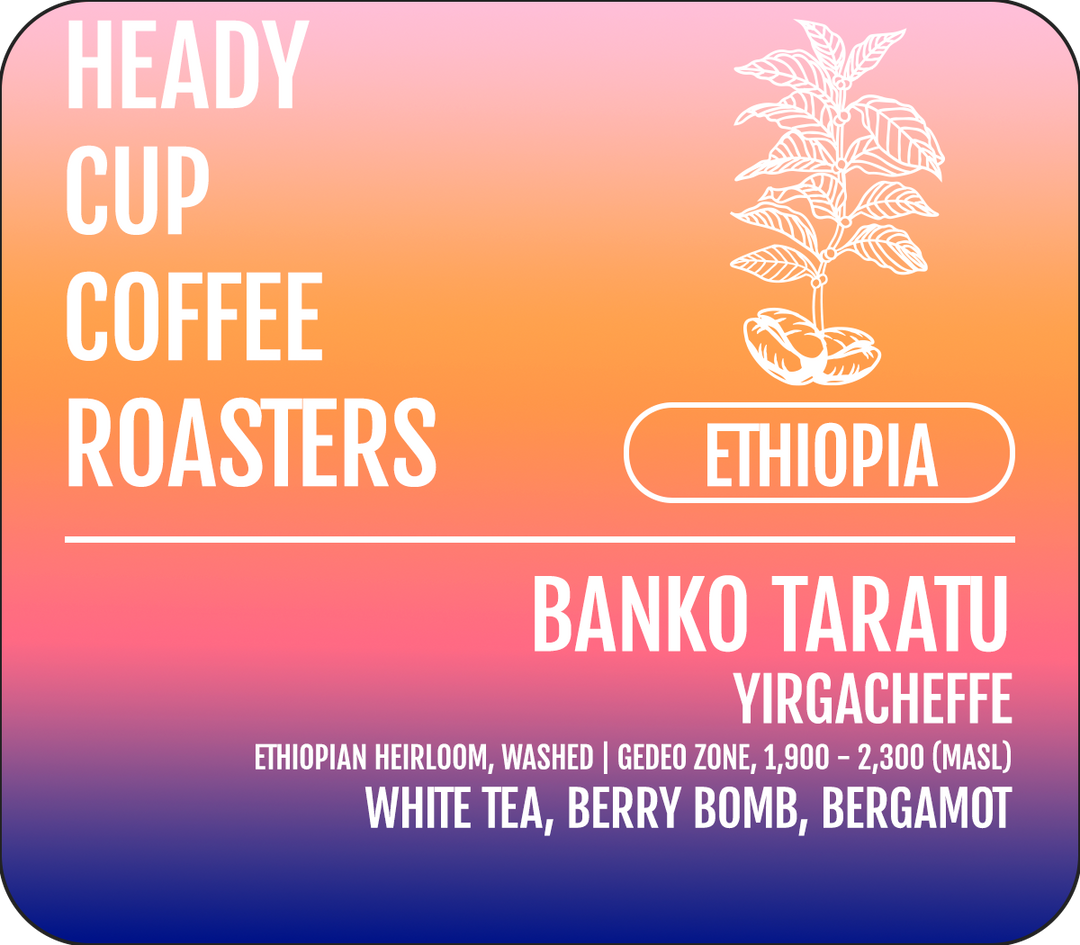 HEADY CUP COFFEE ROASTERS ETHIOPIAN YIRGACHEFFE LABEL WITH GRADIENT BACKGROUND