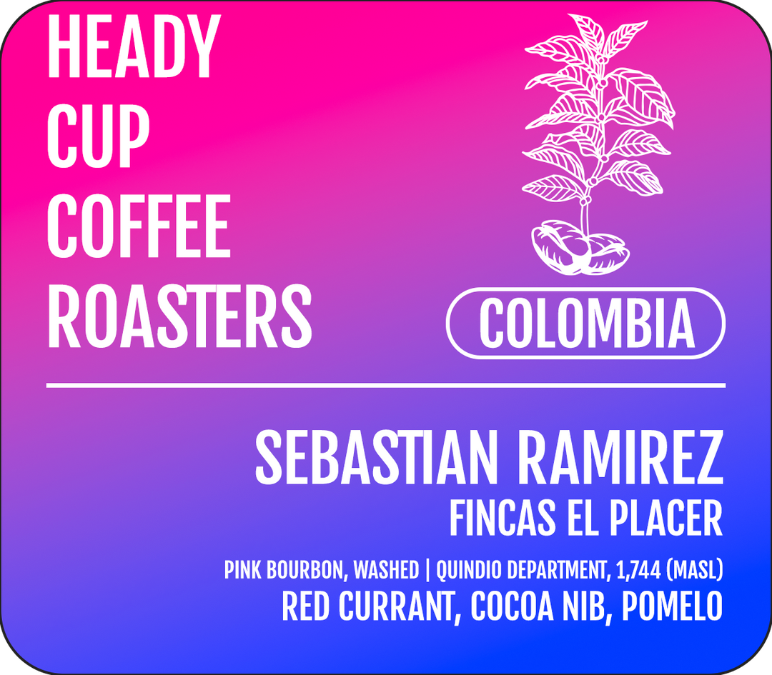 Heady Cup Coffee Roasters Sebastian Ramirez Washed Pink Bourbon Colombian Coffee 97 Coffee Review Rating