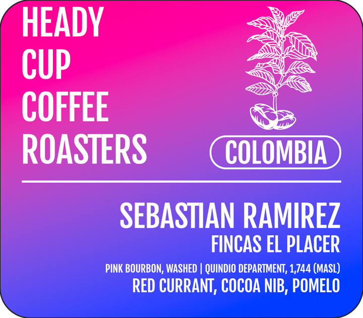 Heady Cup Coffee Roasters Sebastian Ramirez Washed Pink Bourbon Colombian Coffee 97 Coffee Review Rating