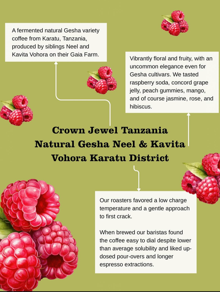 Promotional graphic for Crown Jewel Tanzania Natural Gesha coffee with raspberries on a green background