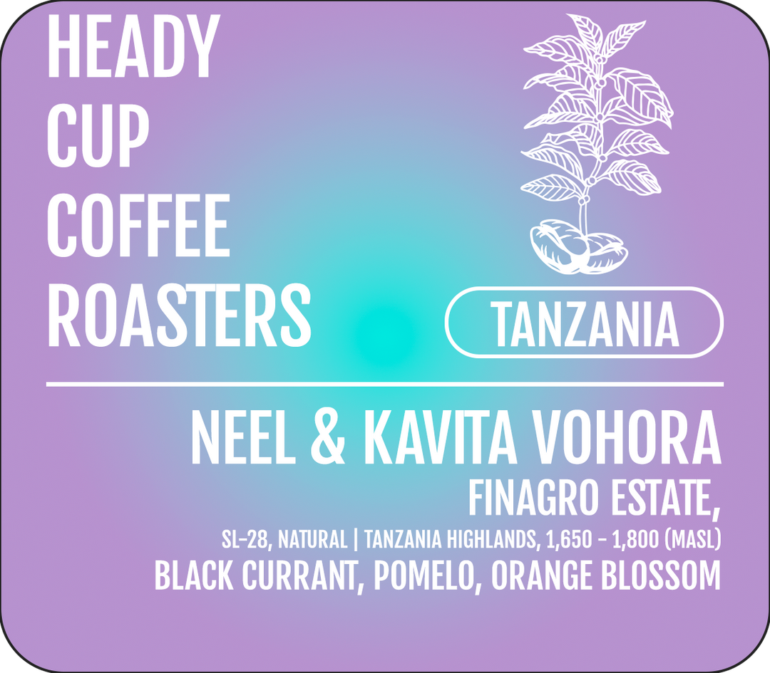 Heady Cup Coffee Roasters label with coffee plant illustration and coffee information on a gradient purple and blue background.