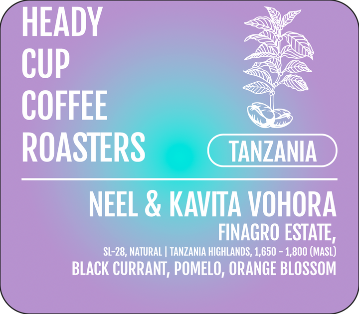 Heady Cup Coffee Roasters label with coffee plant illustration and coffee information on a gradient purple and blue background.