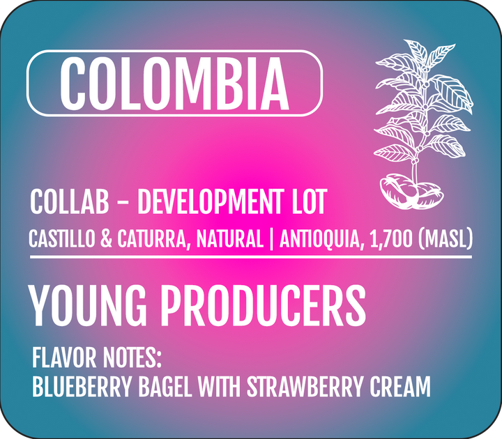 Colombia - Young Producers Lot