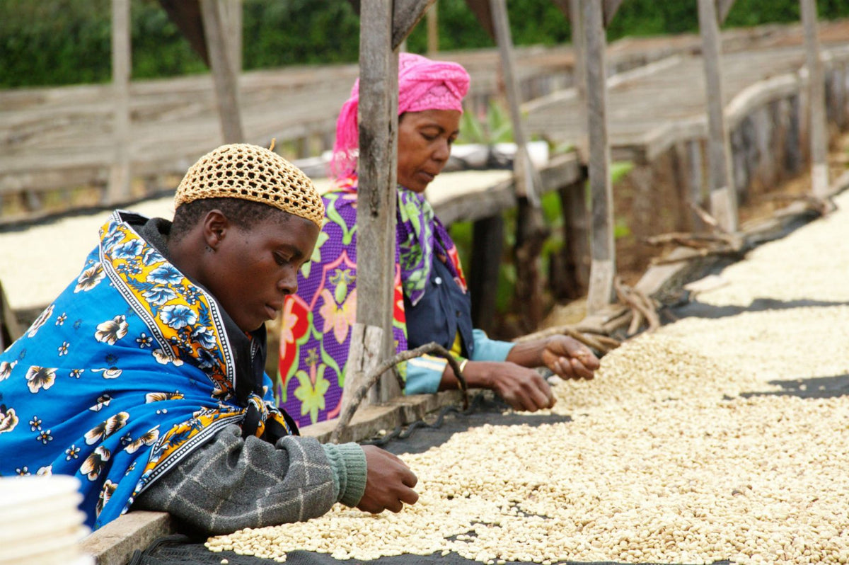 Wholesale Single-Origin