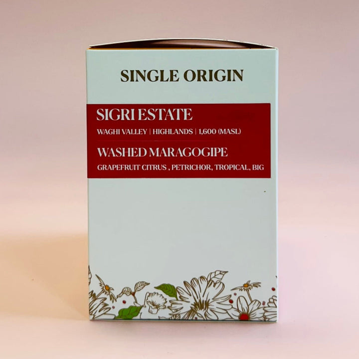 A rectangular product box standing upright on a soft pink studio background. The box is mostly pale mint green with a wide dark red horizontal band across the upper-middle section and black text reading 'SINGLE ORIGIN' and 'SIGRIESTATE WASHED MARACOGIPE'.