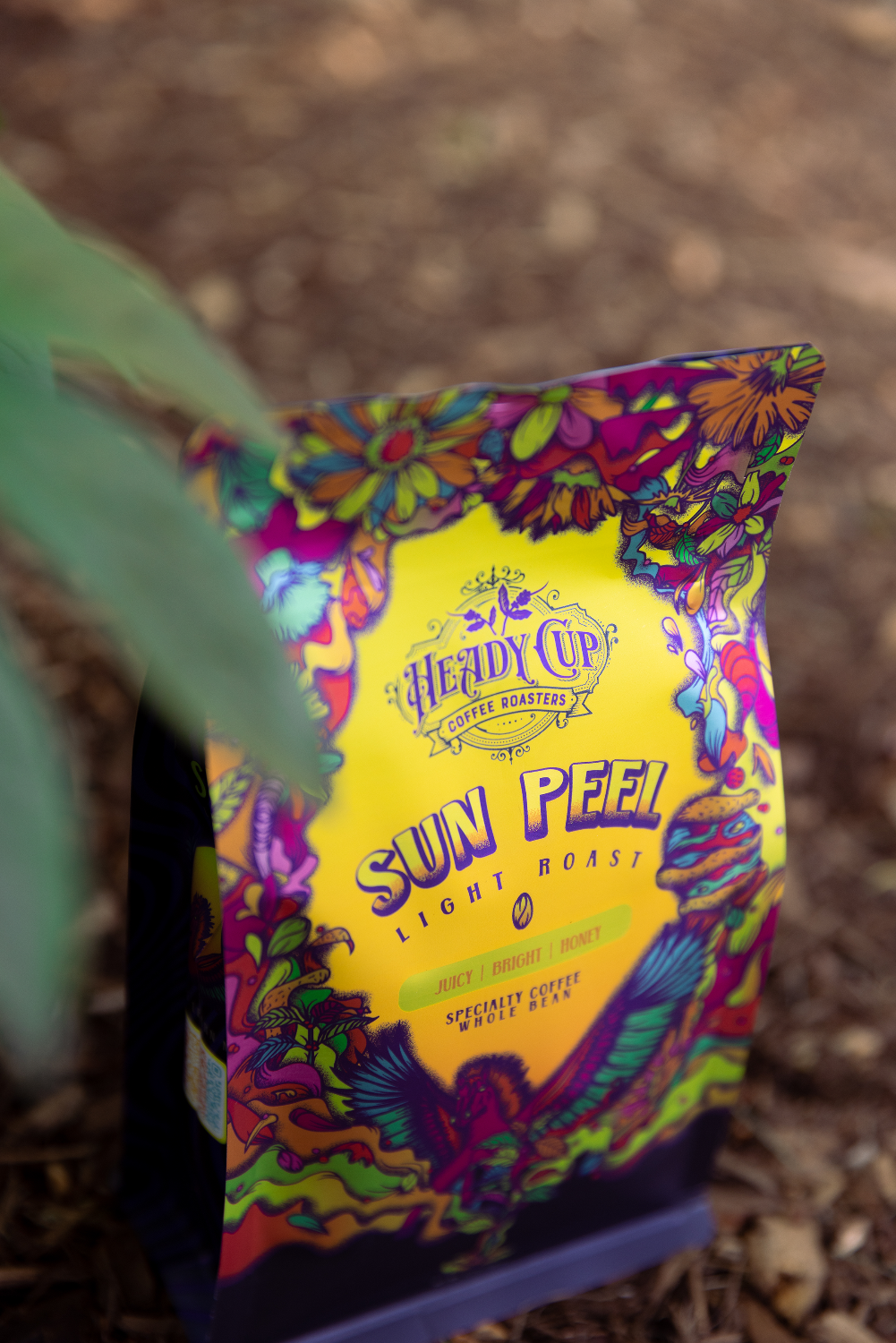 A colorful bag of Heady Cup Coffee Roasters light roast coffee named Sun Peel pictured in a jungle like setting. 