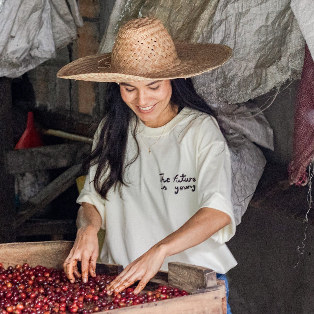 Heady Cup Coffee Roasters Carolina Ramirez Black Honey Brownie Colombia Single Origin