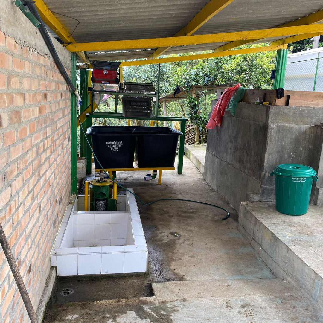 Andres Martinez, coffee producer and biochemical engineer,  drying and washing station.