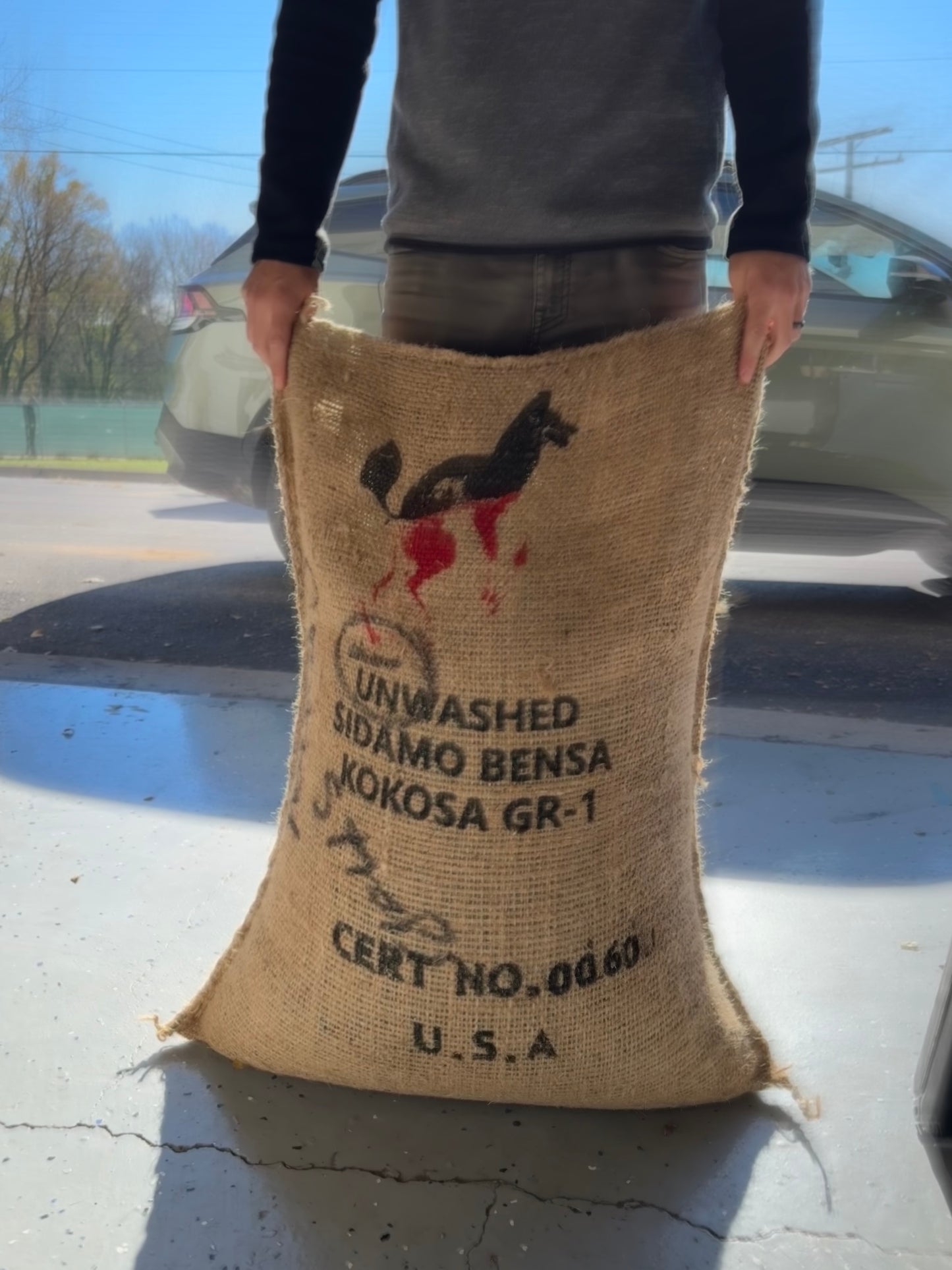 
                  
                    Ethiopian Sidamo Bensa Kokosa
                  
                