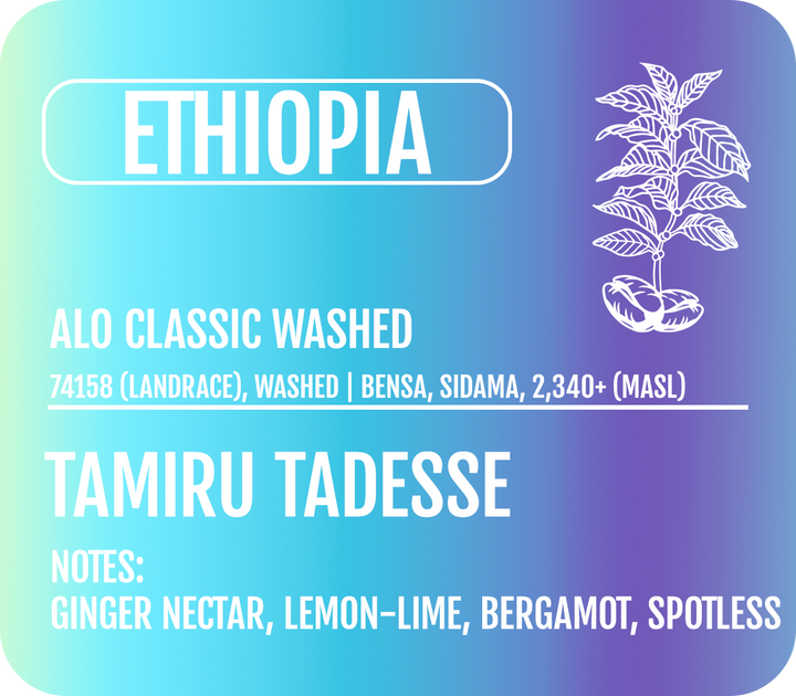 Ethiopia - Alo Classic Washed