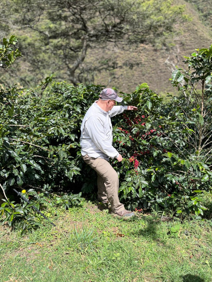 Tim inspecting coffee beans with mountains in the background at finca la noria, Ecuador
