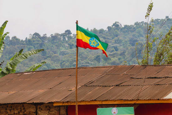 Halo Beriti Washing Station was established in 2014 and serves 750 smallholder producers, who deliver their coffee in cherry form.