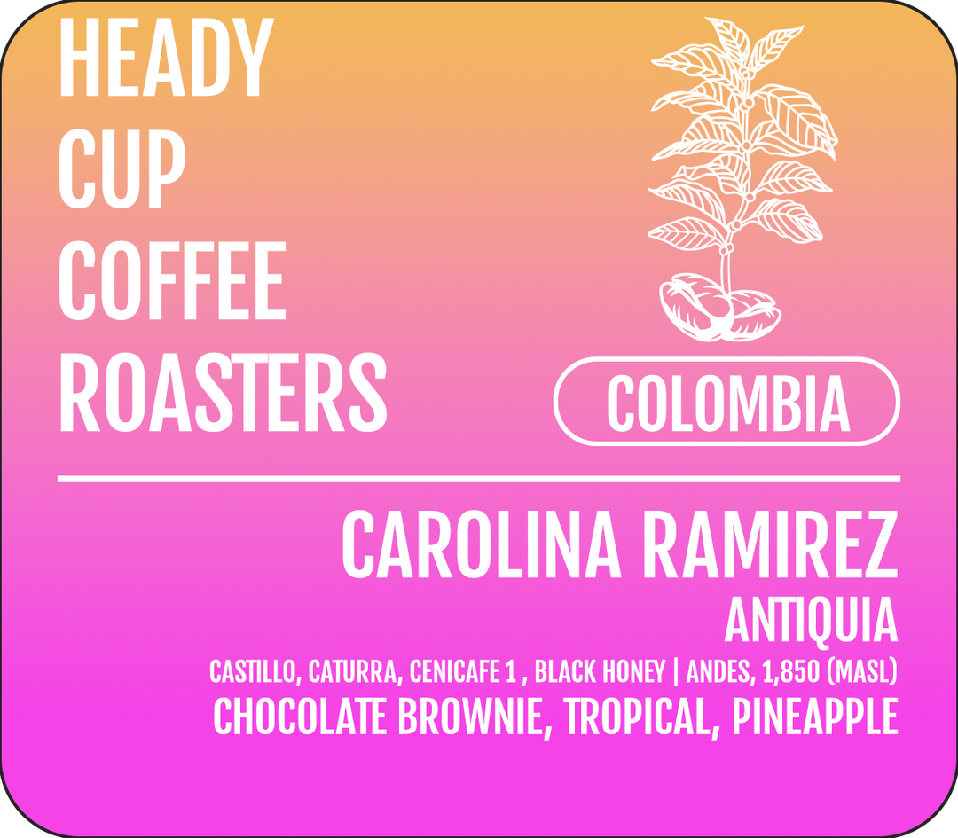 Heady Cup Coffee Roasters Carolina Ramirez Black Honey Brownie Colombia Single Origin