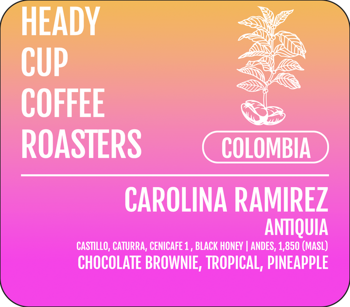 Heady Cup Coffee Roasters Carolina Ramirez Black Honey Brownie Colombia Single Origin
