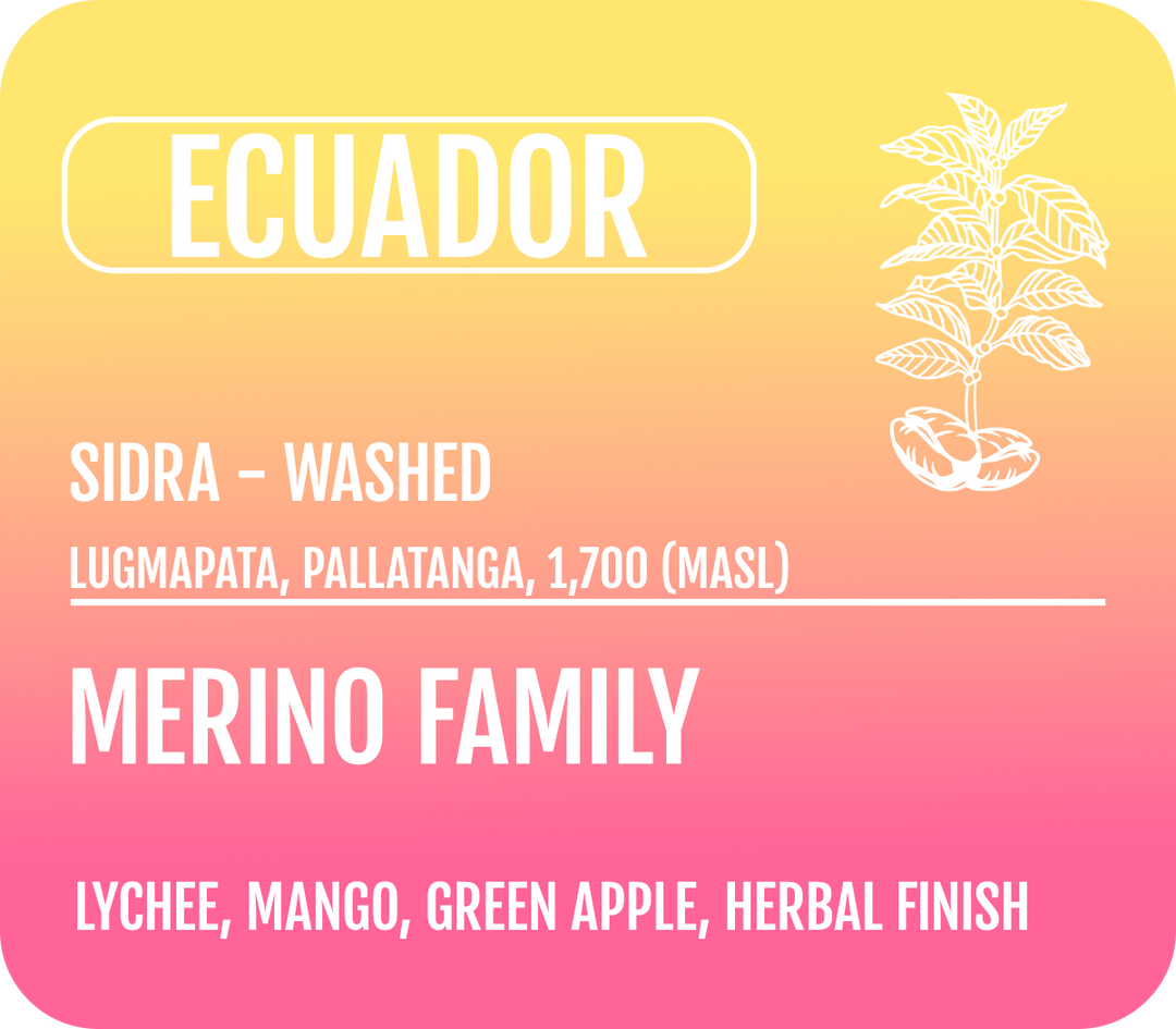 Ecuador - Washed Sidra