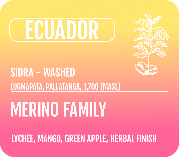 Ecuador - Washed Sidra