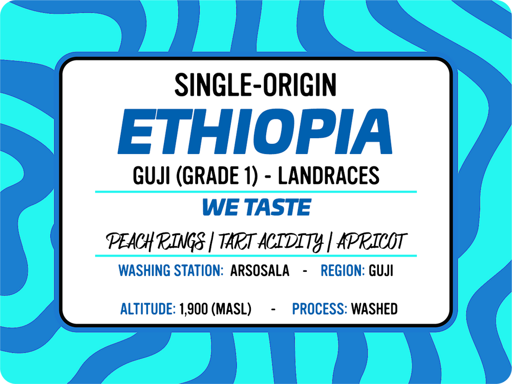 Ethiopian Guji - Arsosala