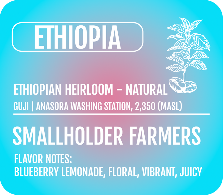 A colorful product label for an Ethiopian coffee roasted by Heady Cup Coffee Roasters