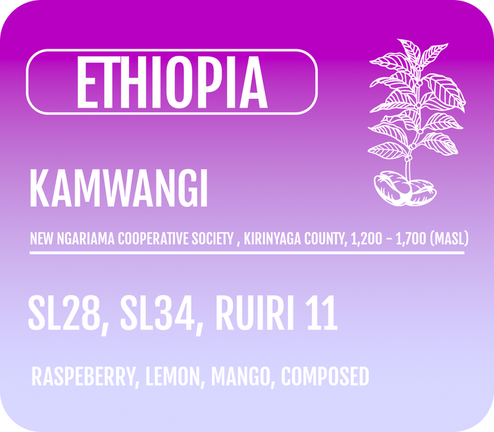 Kenya Kamwangi
