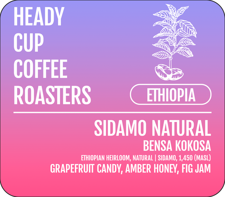 Ethiopian Sidamo Bensa Kokosa