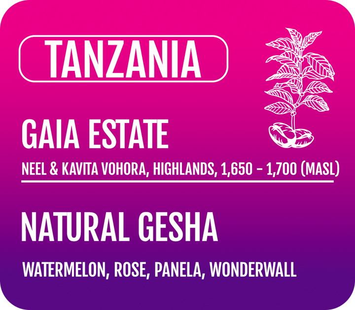 Tanzania - Natural Gesha
