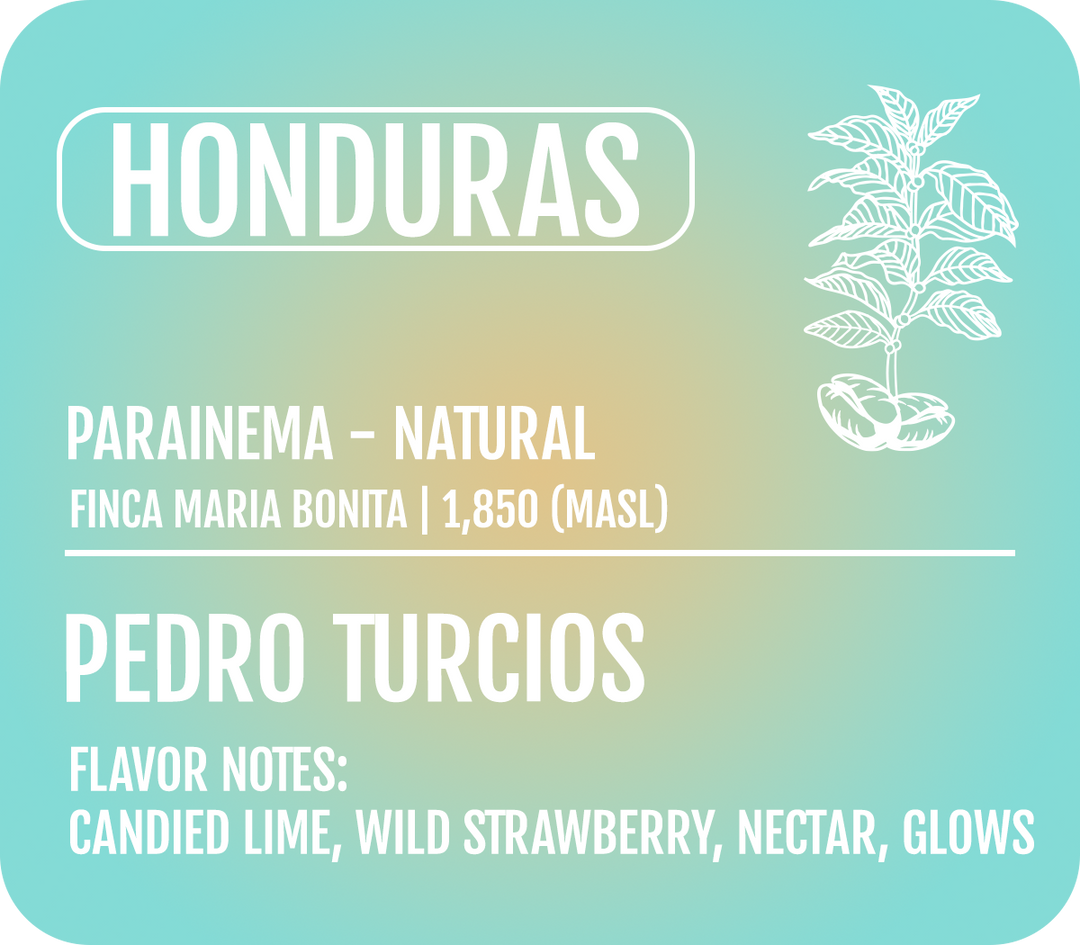 Heady Cup Coffee Roasters teal label for Pedro Turcios Parainema Honduras coffee
