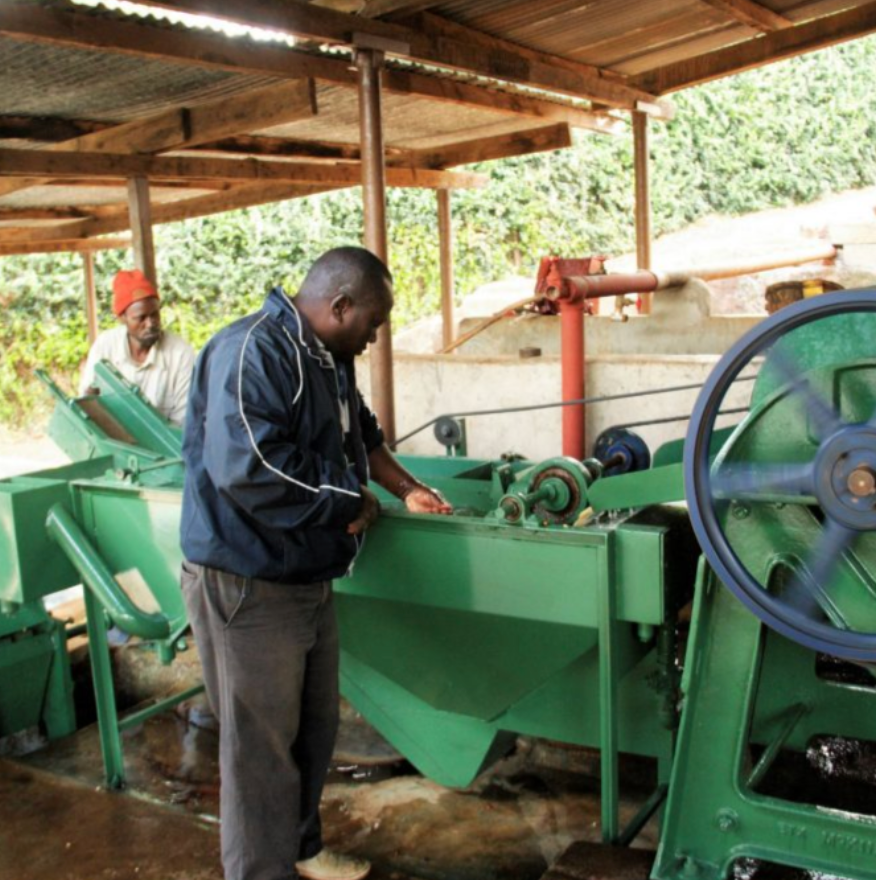Tanzania - SL28