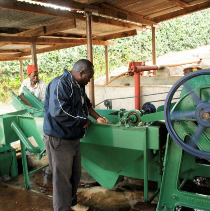 Tanzania - SL28