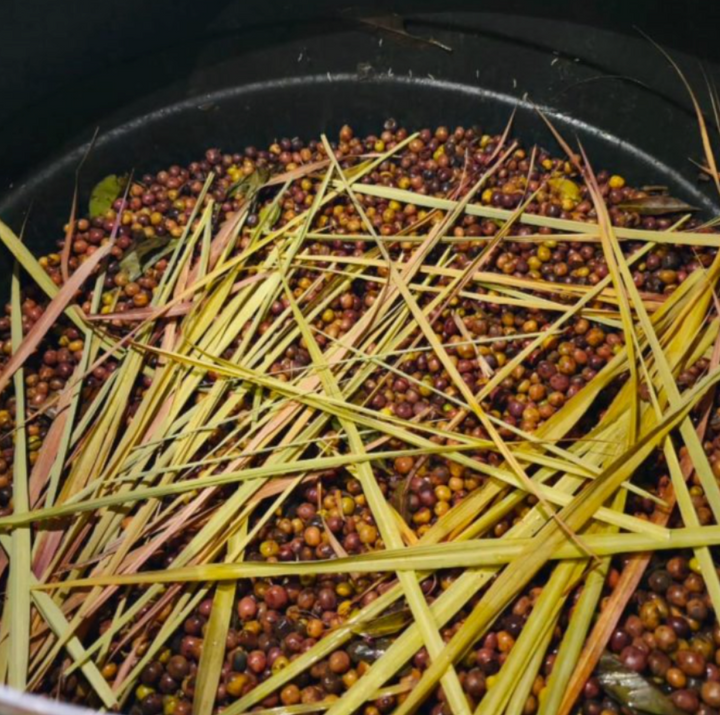 Ethiopia Lemongrass Co-Ferment