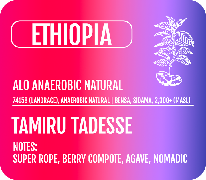 Ethiopia - Alo Anaerobic Natural