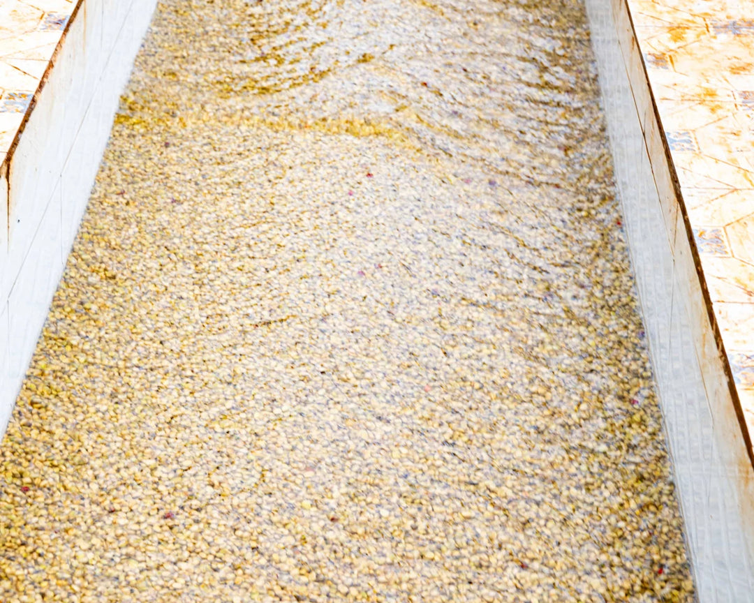 Kenya Washed Rianjagi