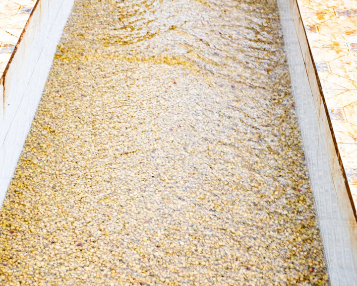 Kenya Washed Rianjagi