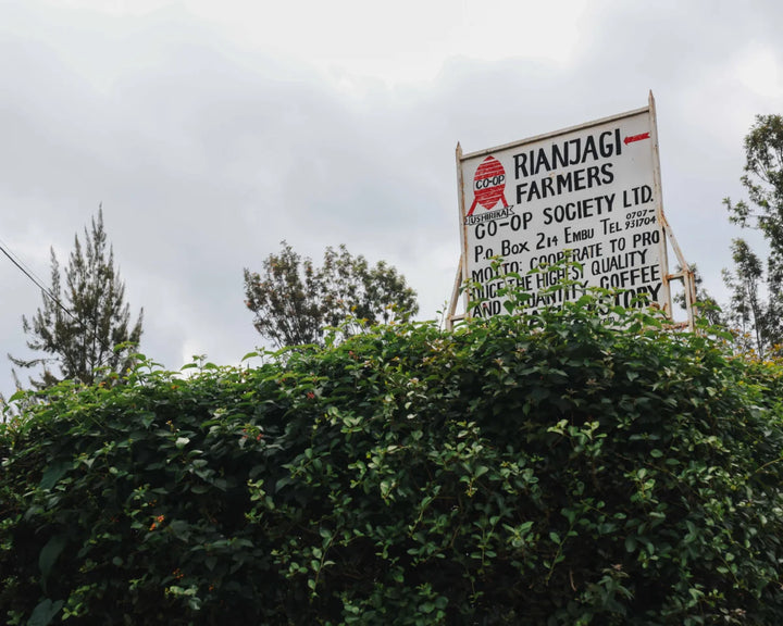 Kenya Washed Rianjagi