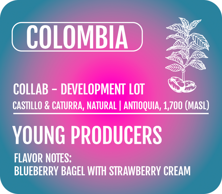 Heady Cup Coffee Roasters pink and blue product label for a Colombian coffee produced by Young Producers and Sebastian Ramirez. 
