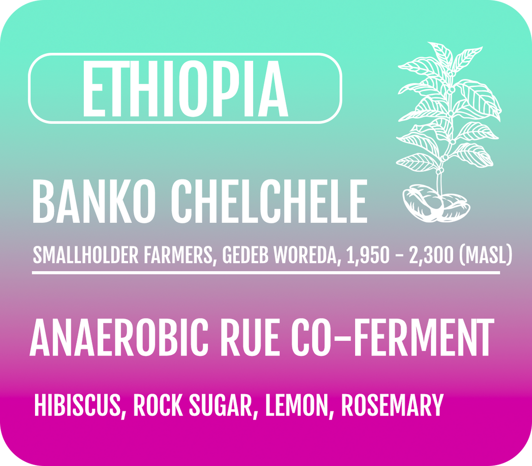 Ethiopia Rue Co-Ferment (Wholesale)