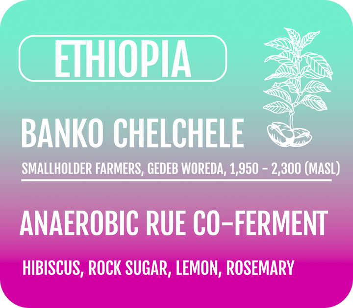 Ethiopia Rue Co-Ferment (Wholesale)