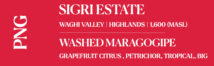 A red graphic card with white text listing a wine product: 'SIGRI ESTATE' and 'WASHED MARAGOGIPE', with additional details 'WAGHI VALLEY | HIGHLANDS | 1,600 (MASL)' and 'GRAPEFRUIT CITRUS , PETRICHOR, TROPICAL, BIG'. A vertical 'PNG' label appears on the left side.