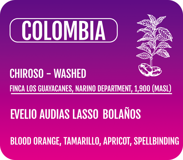Colombia - Chiroso (Wholesale)