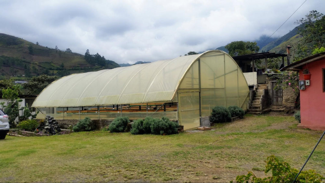 Large greenhouse structure in a rural setting with mountains in the background. Finca Lugmapata, Ecuador. 