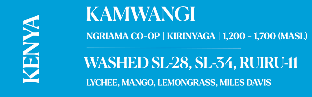A blue and white graphic banner with text listing Kenyan coffee varieties: Kamwangi, Ngriama Co-Op / Kirinyaga, Washed SL-28, SL-34, Ruiru-11, and Lychee, Mango, Lemongrass, and Miles Davis. The word 'KENYA' is printed vertically on the left side.