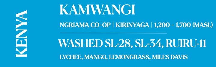 A blue and white graphic banner with text listing Kenyan coffee varieties: Kamwangi, Ngriama Co-Op / Kirinyaga, Washed SL-28, SL-34, Ruiru-11, and Lychee, Mango, Lemongrass, and Miles Davis. The word 'KENYA' is printed vertically on the left side.