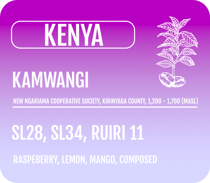 Kenya Kamwangi (WHOLESALE)