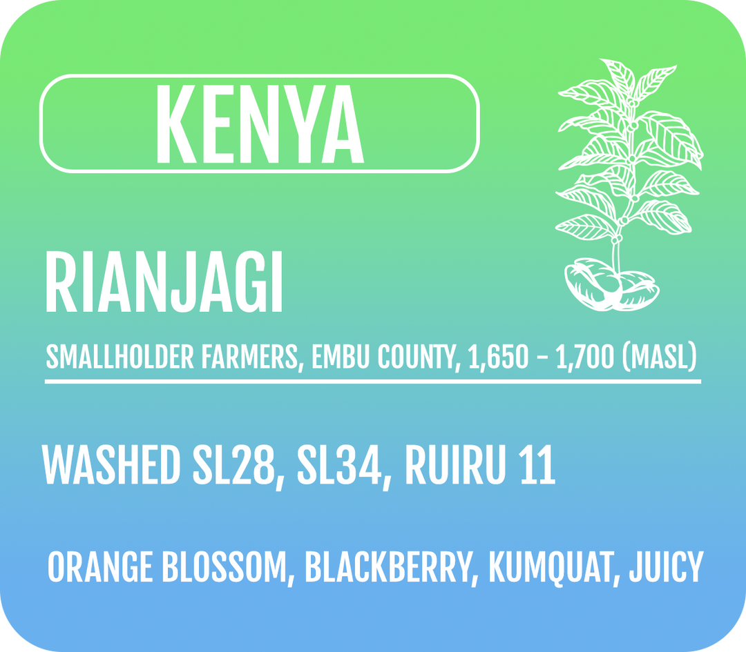Kenya Washed Rianjagi