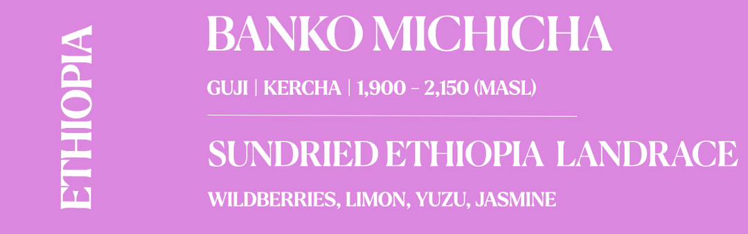 A pink graphic banner with white text reading 'ETHIOPIA' vertically on the left, 'BANKO MICHICHA' at the top, and 'SUNDRIED ETHIOPIA LANDRACE' with berry varieties listed below.