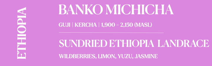 A pink graphic banner with white text reading 'ETHIOPIA' vertically on the left, 'BANKO MICHICHA' at the top, and 'SUNDRIED ETHIOPIA LANDRACE' with berry varieties listed below.