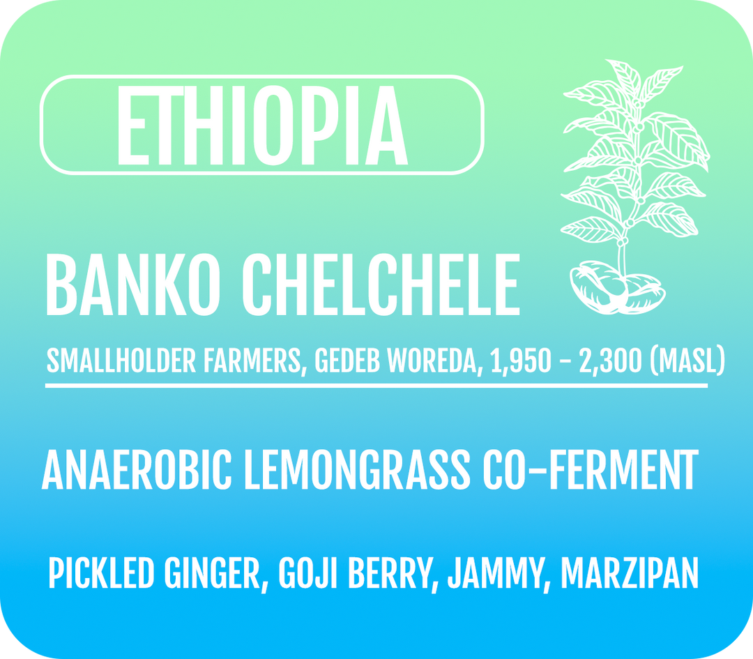 Ethiopia Lemongrass Co-Ferment