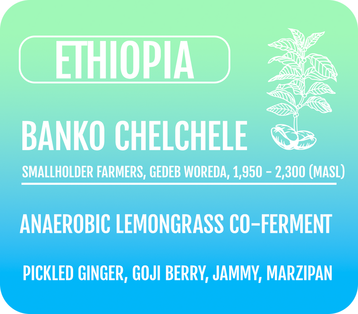 Ethiopia Lemongrass Co-Ferment