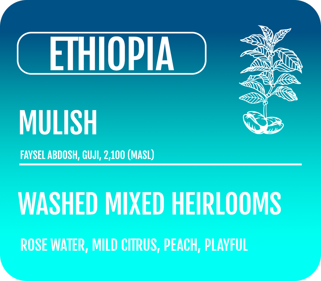 Ethiopia Washed Mulish (Wholesale)