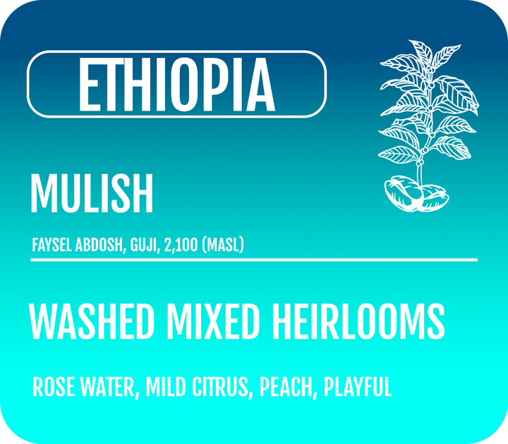 Ethiopia Washed Mulish (Wholesale)