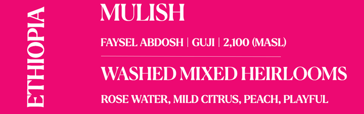 Bright pink graphic banner with white text reading 'ETHIOPIA' vertically on the left, 'MULISH' at the top, and two product lines below: 'FAYSEL ABDOSH | GUJI | 2,100 (MASL)' and 'WASHED MIXED HEIRLOOMS | ROSE WATER, MILD CITRUS, PEACH, PLAYFUL'.